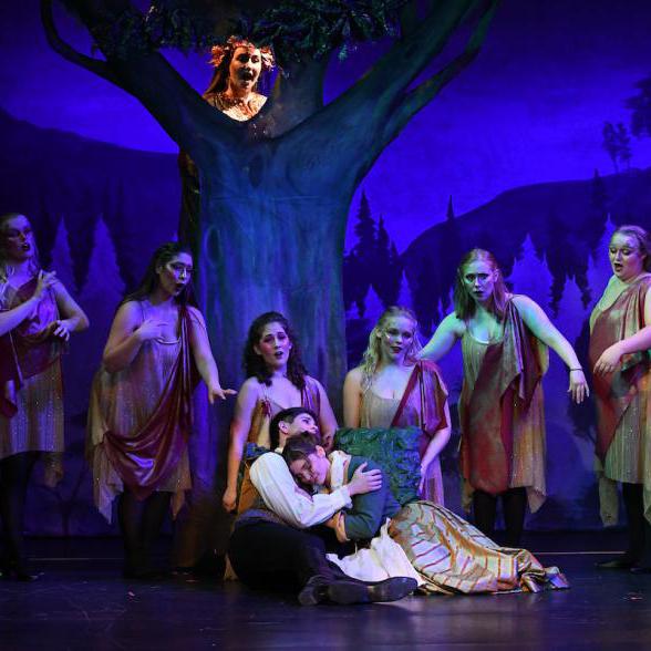 在《灰姑娘》的歌剧表演中，灰姑娘和白马王子在一棵仙女树下拥抱